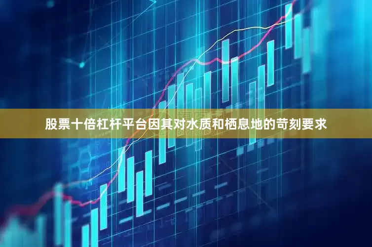 股票十倍杠杆平台因其对水质和栖息地的苛刻要求