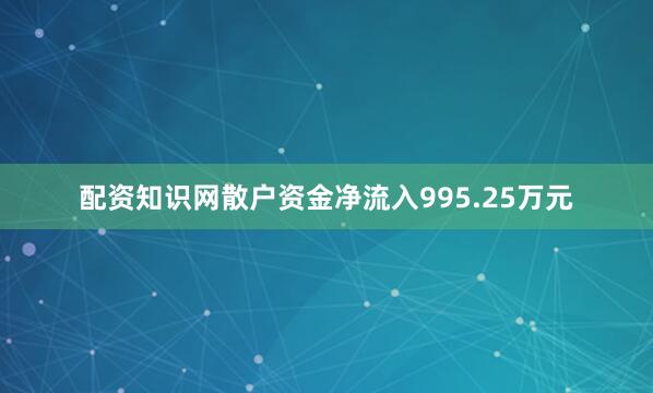 配资知识网散户资金净流入995.25万元