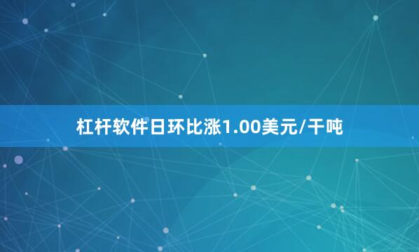 杠杆软件日环比涨1.00美元/干吨